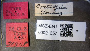 Media type: image;   Entomology 21357 Aspect: labels